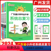 语文 广东专版 小学升初中 [正版]广东专版2024阳光同学小学毕业升学系统总复习人教版语文数学英语科学小升初总复习小学