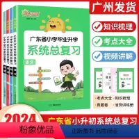 语文 广东专版 小学升初中 [正版]广东专版2024阳光同学小学毕业升学系统总复习人教版语文数学英语科学小升初总复习小学