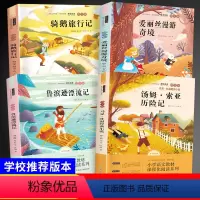 [正版]鲁滨逊漂流记爱丽丝漫游奇境梦游仙境汤姆索亚历险记尼尔斯骑鹅旅行记六年级下册课外书全套快乐读书吧小学生课外阅读书