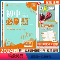 化学[科粤版] 九年级下 [正版]2024版初中必刷题九年级下册化学科粤版KY 初中必刷题初三九下中考复习资料9年级中考