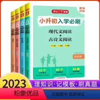 [全4册]小升初入学必刷全套 小学升初中 [正版]2023版小升初入学必刷题人教版语文数学英语专项训练 现代文古诗文文言
