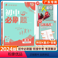 语文-人教版(广东专用) [正版]2024版初中八年级下册语文人教版初中初二语文八年级下册辅导资料书初中八下练习题册试卷