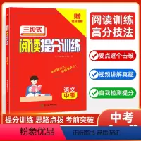 名言歇后语 小学通用 [正版]初中语文三段式阅读提分训练阅读理解满分公式法中考基础知识大全人教版一本阅读训练100篇基础