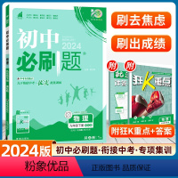物理--苏科版 [正版]2024新版初中必刷题九年级下册物理人教版RJ 沪粤版必刷题初三九下中考复习资料9年级中考题库同
