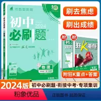 物理--苏科版 [正版]2024新版初中必刷题九年级下册物理人教版RJ 沪粤版必刷题初三九下中考复习资料9年级中考题库同