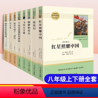 [正版]八年级上下必读名著昆虫记寂静的春天名人传钢铁是怎样炼成的飞向太空港星星离我们有多远给青年的十二封信人民教育出版