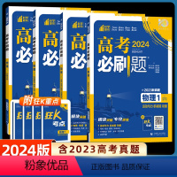 高考必刷题专题版物理 [❥物理4本]全套1234册 [正版]2024新版高考必刷题专题版物理1运动与机械能动量2电场电流