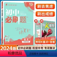语文 全国版 [正版]2024新版初中七年级下册语文同步练习册人教版初一语文7年级七下广东教辅辅导资料书语文下册训练试卷