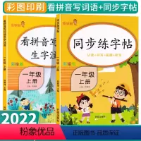 [正版]一年级上册同步字帖语文看拼音写词语生字注音人教版全套 小学1年级上小学生强化训练练习册控笔正楷练字帖练字天天练