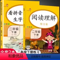 [正版]二年级下册语文看拼音写词语阅读理解专项训练书小学二年级下册同步练习册人教版生字注音训练默写能手天天练每日一练