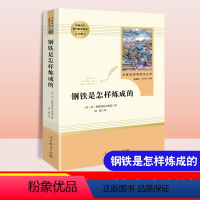 钢铁是怎样练成的 [正版]傅雷家书文化发展社钢铁是怎样炼成的人民教育出版社初中生八年级必读课外书籍阅读文学经典世界名著书