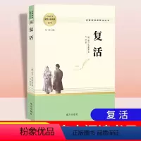 复活 [正版]复活 俄列夫托尔斯泰著作 中文版经典世界十大名著外国文学长篇小说 高中生课外阅读书籍 南方出版社