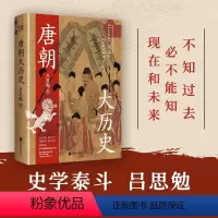 [正版]唐朝大历史(解读唐朝历史的扛鼎之作,学习历史的百搭之书,海量文献参考,见解独到,干货十足。二十一位皇帝,九大历