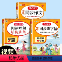阅读理解+同步写作+字帖 一年级上 [正版]阅读理解专项训练书每日一练一二年级三年级四五六年级上下册小学语文课内课外阅读