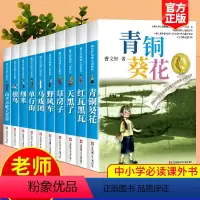 [全14册]完整版曹文轩纯美小说 [正版]青铜葵花曹文轩课外阅读书籍全套14册草房子三年级必读的课外书儿童文学获奖作品小