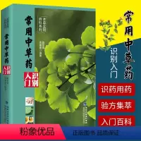 [正版]常用中草药识别入门 本草实用百科系列 中草药野外识别书籍中药材大百科本草纲目彩色图鉴中医入门初学常见中草药识别