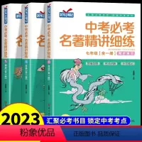 [7-9年级全3册]中考必考名著精讲细练 [正版]中考必考名著精讲细练 七八九年级初中考点精练一点通语文名著导读 全一册
