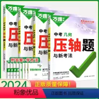 ⭐压轴题[几何+函数+物理+化学]4本 初中通用 [正版]2024数学压轴题全解析物理化学全国版专项训练初中数学函数
