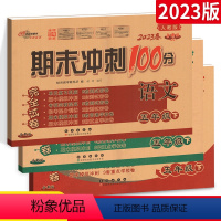 [正版]2023春 期末冲刺100分 五年级 下册 语文数学英语3本套装 人教版全新版 小学5年级下册总复习测试卷 期