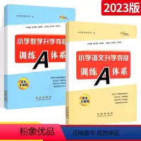 [全国版]小升初训练A体系 语数2本 小学升初中 [正版]小升初知识集结锦囊 小学语文数学英语升学夺冠训练A体系 68所
