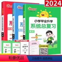 [全国版]语数英3本 小学升初中 [正版]2024阳光同学小升初系统总复习真题卷语文数学英语科学人教版 小学升初中总复习