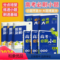[6本]语文+数学+英语+物理+化学+生物 新高考版 [正版]2024新高考版必刷小题语文数学英语物理化学生物政治历史地