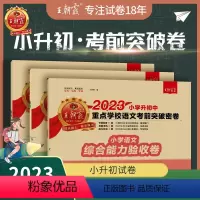 小升初[考前突破]—语文+数学+英语 3本 小学升初中 [正版]2023新版试卷小升初真题卷分类卷数学语文英语走进十大名