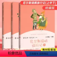 六年级下[尼尔斯骑鹅行记]3本 [正版]六年级下册全套 上册 上 下 人教版 鲁滨逊漂流记 汤姆索亚历险记 童年 小英雄