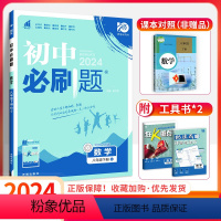 数学[人教版] 八年级上 [正版]初中必刷题八年级下册数学2024新版 人教版 华师版 北师大版 初二数学必刷题专项训练