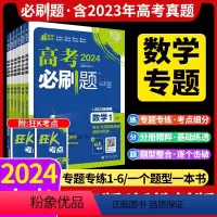 [新高考]数学专项·全套6本 高考必刷题专题突破·数学 [正版]2024新高考专题专练专项突破数学 集合三角函数数列与不