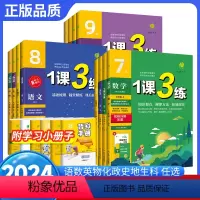 [7本]语数英物化政史-人教版 九年级下 [正版]2024一课三练国一上八九年级上册下 册语文数学英语物理生物化学政治历