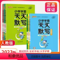 [人教版]语文-天天默写 一年级上 [正版]小学学霸天天默写语文三四年级一二年级五六年级上册 人教版下册 小学看拼音写词