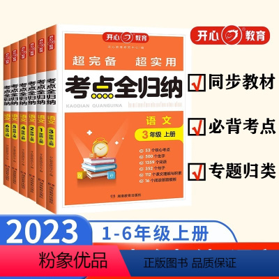 [语文]人教版 一年级上 [正版]2024新版小学语文考点知识全归纳人教版 一二三年级上册四五六年级上人教版同步练习册阅