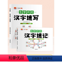 [全2册]汉字速记+汉字速写 小学通用 [正版]斗半匠汉字速记生字开花小学生语文思维导图通用1-6年级升级版速写认识汉字