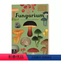 欢迎来到博物馆系列 真菌博物馆 [正版]老虎来喝下午茶 英文原版 The Tiger Who Came to Tea 大