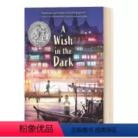 [正版]英文原版 A Wish in the Dark 黑暗中的愿望 2021纽伯瑞银奖 儿童文学 英文版