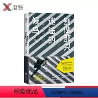[正版]别做那只迷途的候鸟 刘同新书籍 继我在未来等你 谁的青春不迷茫 向着光亮那方后新作 职场励志书籍 图书书籍