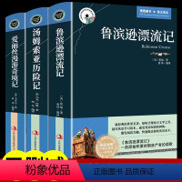 [正版]全3册鲁滨逊漂流记原著书汤姆索历险记爱丽丝漫游奇境记中英文双语读物版英汉对照互译版适合初高中生课外阅读经典小说