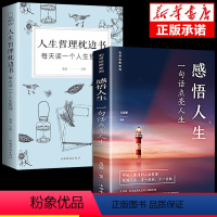 [正版]全套2册感悟人生书籍哲理枕边书一句话点亮成人励志语录书治愈系适合女性看的提升自己书籍书排行榜正能量