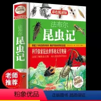 昆虫记 [正版]昆虫记法布尔故事书小学生课外阅读书籍三年级四五六年级必读儿童故事书读物经典书目名著阅读无删减原著完整版带