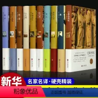 [正版]世界十大名著全套10册原著巴黎圣母院飘我的大学童年红与黑呼啸山庄在人间简爱傲慢与偏见复活课外书文学经典书籍