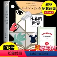 [正版] 苏菲的世界(新版)精美装书籍 乔斯坦贾德文学巨著风靡世界的哲学启蒙入门外国文学经典书店图书籍排行榜