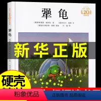 犟龟 [正版]犟龟 精装绘本 米切尔·恩德20周年纪念版二年级三四年级儿童启蒙启发书籍一年级学校老师阅读绘本必读二十一世