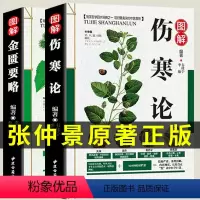 [正版]全两册伤寒论张仲景倪海厦柴胡疏肝散大青龙汤桂枝汤中医书籍养生大全伤寒杂病论金匮要略外感热病治疗规律全注全译图解