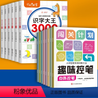 [全10册]识字大王3000字+点阵控笔训练 [正版]识字书幼儿认字 识字大王3000字 幼儿象形识字启蒙认字卡片 识字