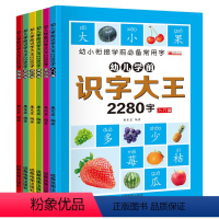 识字大王2280[全套6本] [正版]识字书幼儿认字 识字大王2280字 幼儿识字启蒙认字卡片 识字卡3000字幼儿园认