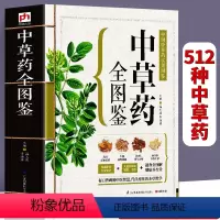 [正版]543页中草药全图鉴 全彩草药实图拍摄 中草药大全中医书籍中医养生速查全图解 常见中草药彩图大全书中药书籍本草