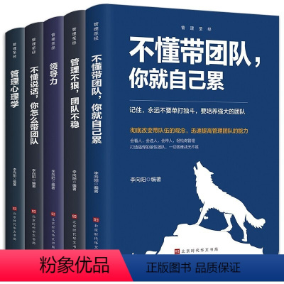 [正版]全5册企业经营管理书籍 企业管理成功法则不懂说话怎么带团队不懂带团队你就自己累管理不狠团队不稳领导力管理心理学