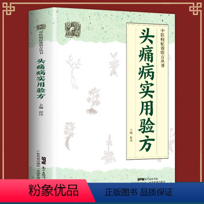 [正版] 头痛病实用验方 中医病症效验方丛书 验方新编 中医验方大全 奇效验方 头痛验方 首慢性功能性头痛 中医方略