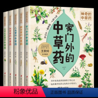 神奇的中草药系列[套装5册] [正版]神奇的中草药 全5册 家门外的中草药 厨房里的中草药 人名里的的中草药 传奇里的